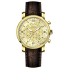 Vaur Edge - GOLD DIAL