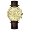 Vaur Revolution - GOLD TWOTONE COLOR CASE - GOLD DIAL