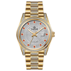 Stellar Gold - Silver Red Stone