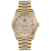Stellar Gold - Gold Red Stone