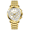 Chronograph Dayflux - White