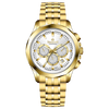 Chronograph Dayflux - White