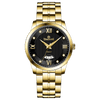 Verve Equinox - Black