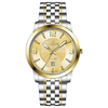 Infinity Nebula - GOLD TWOTONE COLOR CASE - GOLD DIAL