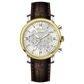 Branded wrist watch for men in pakistan.  A stylish men's watch with a gold case, silver dial, and a brown leather strap.