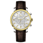 Branded wrist watch for men in pakistan.  A stylish men's watch with a gold case, silver dial, and a brown leather strap.