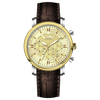 Vaur Revolution - GOLD TWOTONE COLOR CASE - GOLD DIAL