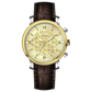 Branded wrist watch for men in pakistan. A stylish men's watch with a gold case, silver dial, and a brown leather strap.