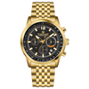 Chronosculpt Gold - Black